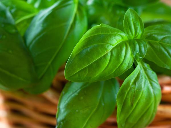 Kako se spopasti z jesensko utrujenostjo?